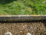 image of grave number 312812